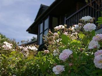 Barclay House Cottages لوي المظهر الخارجي الصورة